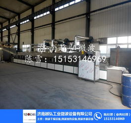 微波干燥膨化機(jī) 提升食品加工效率的先進(jìn)機(jī)械設(shè)備